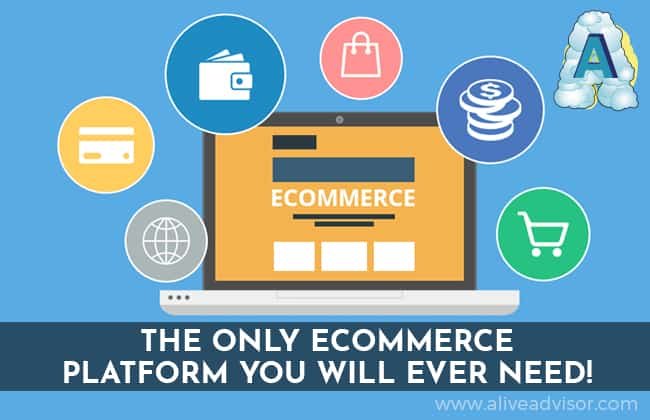 Elevate Your eCommerce Experience